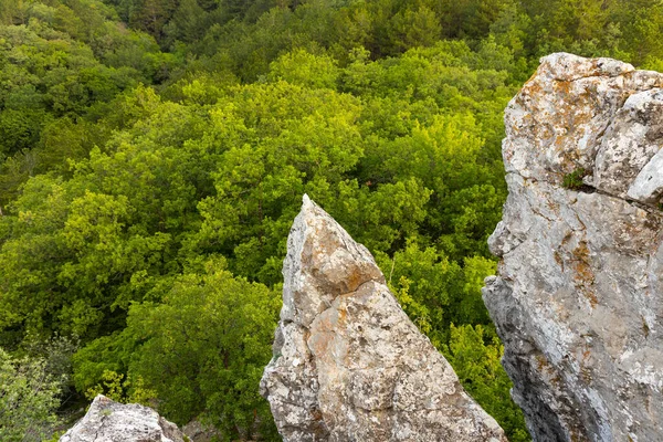 Graue Wilde Felsen Und Wilder Grüner Wald Blick Von Oben — Stockfoto