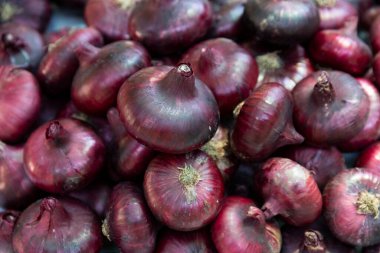 Büyük miktarlarda kırmızı soğan. Hasat konsepti.