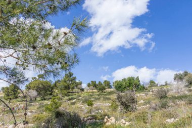 Ağaçlı kayalık tepelerin manzarası ve bulutlu gökyüzüne karşı taze bahar otları..