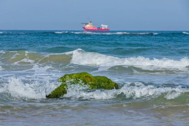 Dalgalar çekildi. Deniz yosunlarıyla kaplı bir taş. Dalgalar, ufukta deniz gemisi