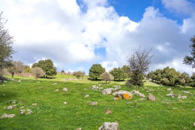 Bulutlu mavi gökyüzüne karşı yeşil çimlerle kaplı bir tepe. İsrail