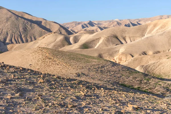 Piaszczyste Skaliste Góry Pustyni Judejskiej Izrael — Zdjęcie stockowe