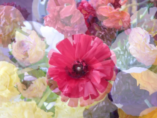 Fondo floral abstracto de flores de buñuelos. Exposición múltiple — Foto de Stock