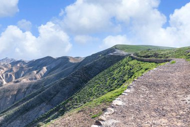 Judean Çölü 'nün kumlu dağlarının yamaçları bahar bitkileriyle kaplıdır. İsrail