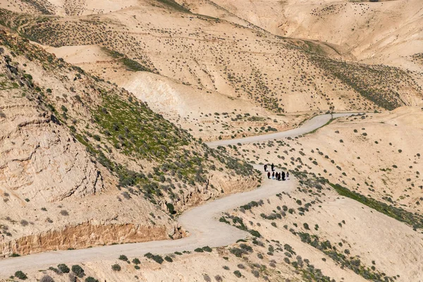 Droga Zboczu Piaszczystej Góry Pustyni Judejskiej Pokryta Wiosenną Roślinnością Izrael — Zdjęcie stockowe