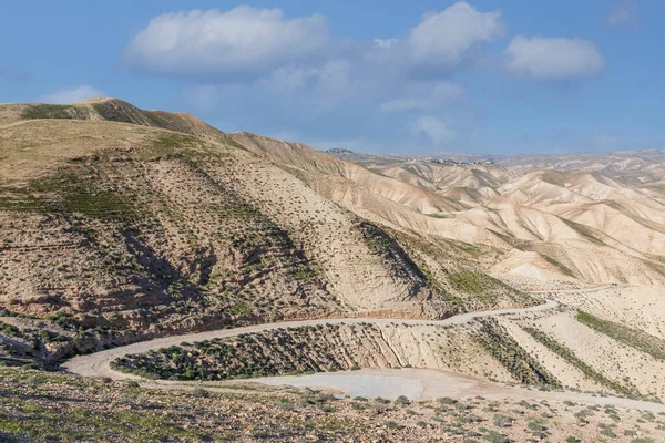 Droga Zboczu Piaszczystej Góry Pustyni Judejskiej Pokryta Wiosenną Roślinnością Izrael — Zdjęcie stockowe