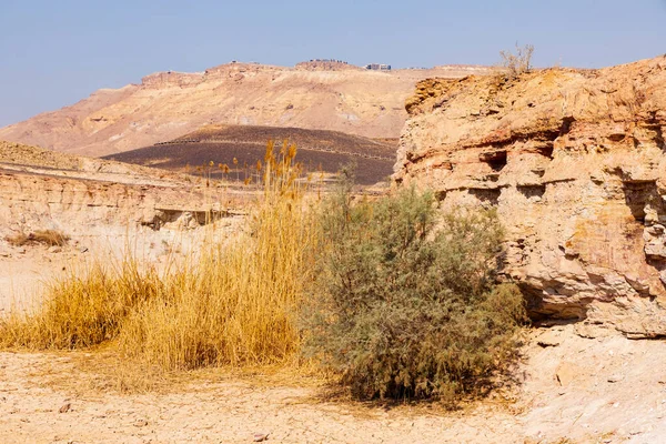 拉蒙陨石坑的地质构造 内盖夫沙漠以色列 — 图库照片