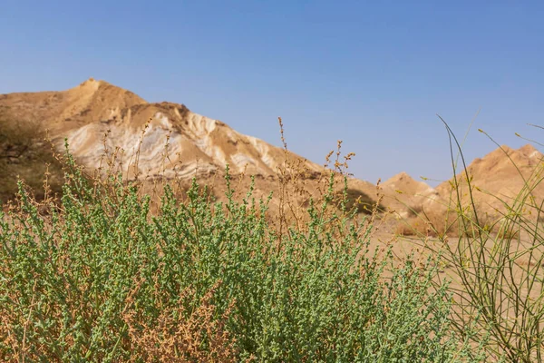 Formacje Geologiczne Ramon Crater Pustynia Negewa Izrael — Zdjęcie stockowe