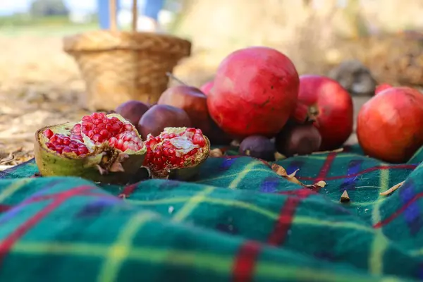 Reife Ganze Und Geöffnete Granatäpfel Mit Samen Nahaufnahme Und Einem — Stockfoto