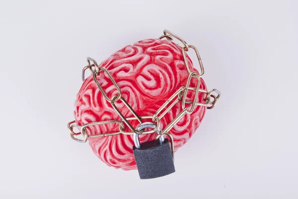 大脑与链和挂锁锁 图库图片