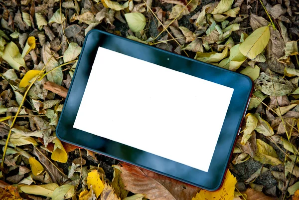 Tablet met kopie ruimte op herfst bladeren — Stockfoto