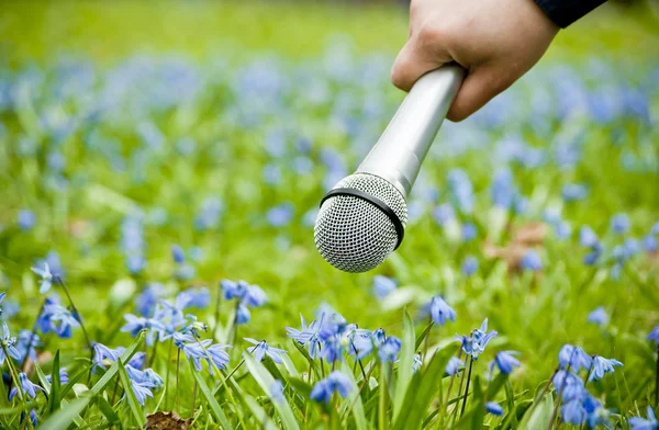 Nature Calling — Stockfoto