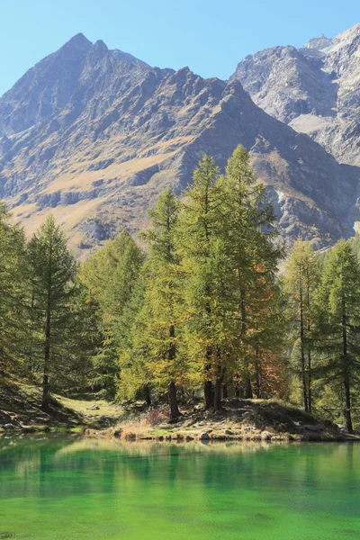 Drzew i alpejskich krajobrazów w Lake Blue, Włochy — Zdjęcie stockowe