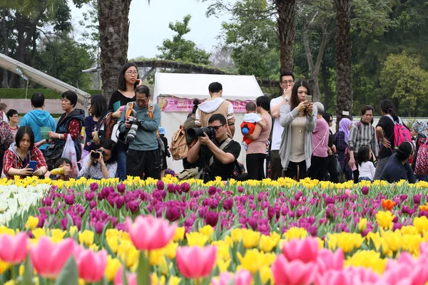 Crowds gather at the annual Hong Kong flower show — Stock Photo, Image