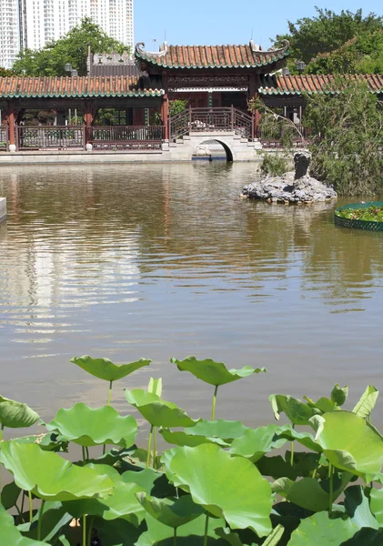 Jardin chinois tranquille — Photo