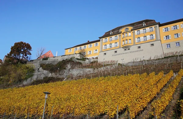 Meersburg at Lake Constance — Stock Photo, Image