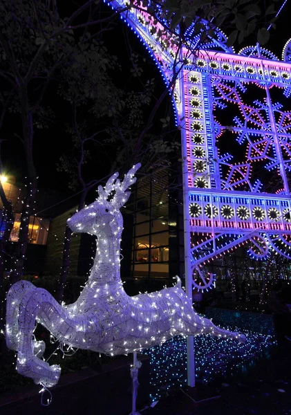 Iluminação Natal Com Design Veados Hong Kong — Fotografia de Stock