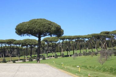 İtalya, Roma yakınlarındaki Castel Gandolfo 'da kırsal alan