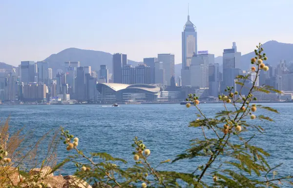 Hong Kong Jan 2021 Wanchai Cityscape Harbour Hong Kong Viewed — Stock Photo, Image