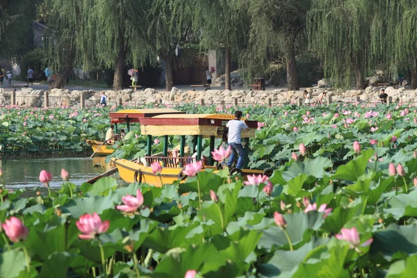 Jeziora Beihai z pola programu lotus, Pekin — Zdjęcie stockowe