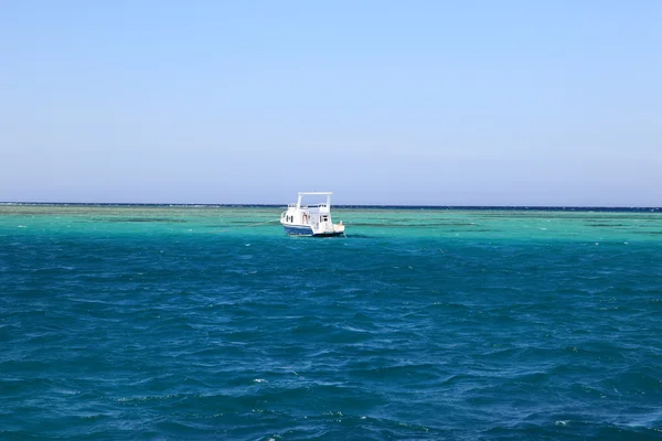 Mar Rojo en Hurghada — Foto de Stock