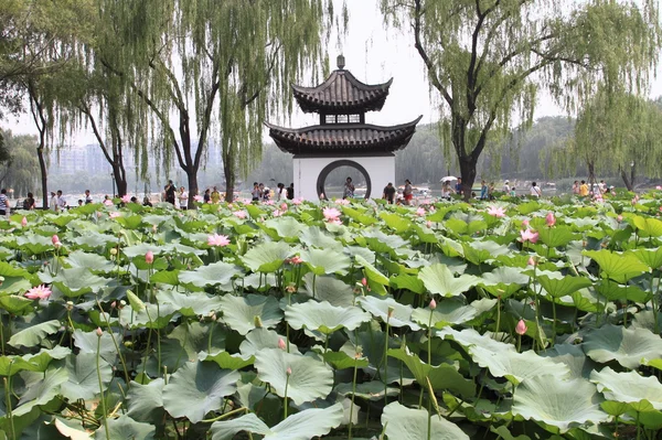 Парк Таорантин в Пекине, Китай — стоковое фото