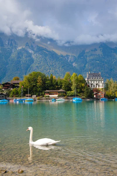 Alpské jezero Brienz — Stock fotografie