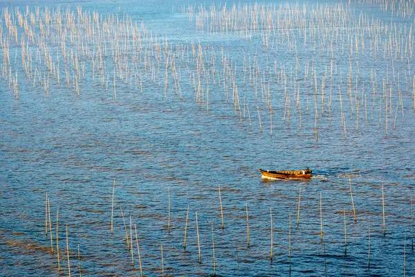 Un pêcheur traversant la zone côtière intertidale de Xiapu — Photo