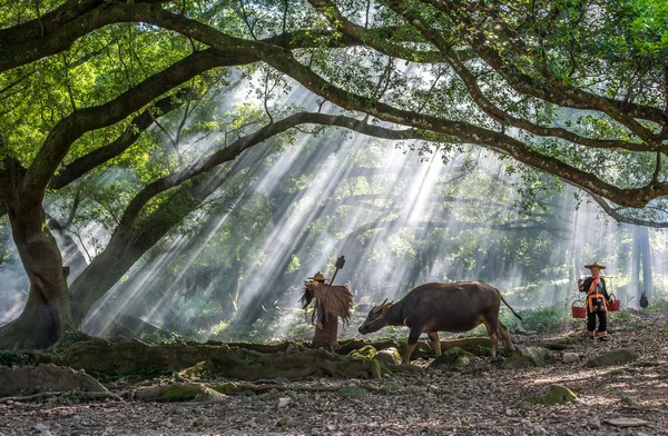 L'agricoltore di Yangjiaxi — Foto Stock