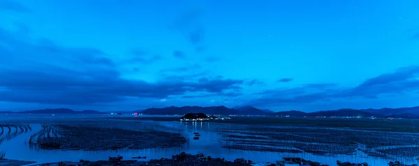 The coastal intertidal zone — Stock Photo, Image