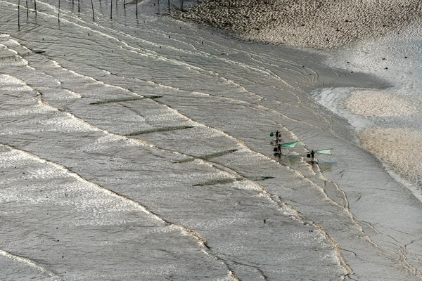 Kıyı gelgit bölgesinde fishermans — Stok fotoğraf