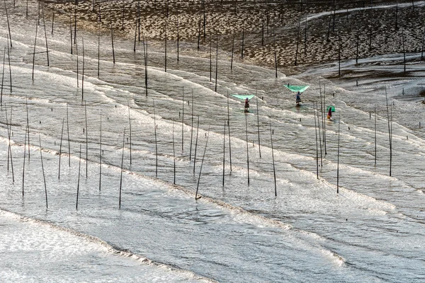 Kıyı gelgit bölgesinde fishermans — Stok fotoğraf