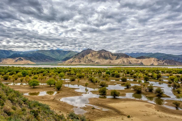 Brahmaputra river — Stock Photo, Image