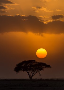 gün batımı amboseli