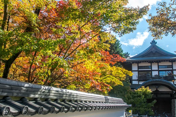 Chisen-kaiyushiki, Teich-Spaziergarten im ginkaku-ji-Tempel in kyoto, Japan. — Stockfoto