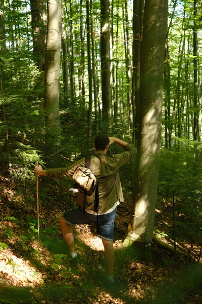 Muž Který Cestuje Lesem Krásná Divoká Příroda Lese Pěší Túra — Stock fotografie