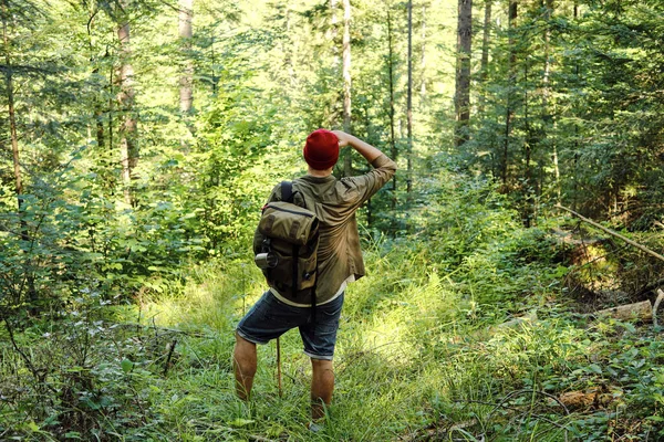 Homem Viajante Caminha Pela Floresta Bela Paisagem Natural Selvagem Floresta — Fotografia de Stock