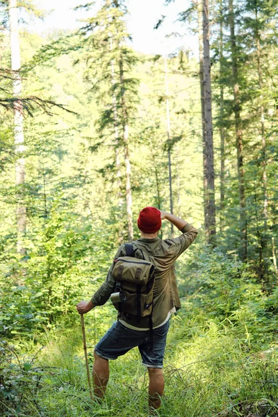 Muž Který Cestuje Lesem Krásná Divoká Příroda Lese Pěší Túra — Stock fotografie