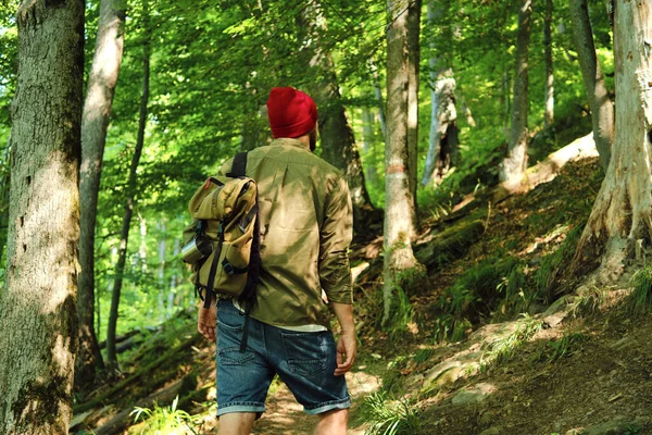 Muž Který Cestuje Lesem Krásná Divoká Příroda Lese Pěší Túra — Stock fotografie
