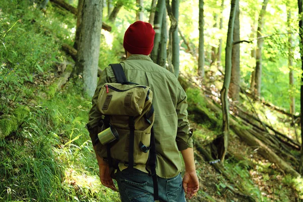 Man Traveler Walks Woods Beautiful Wild Nature Landscape Forest Hiking — Stock Photo, Image