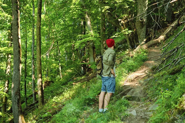 Muž Který Cestuje Lesem Krásná Divoká Příroda Lese Pěší Túra — Stock fotografie