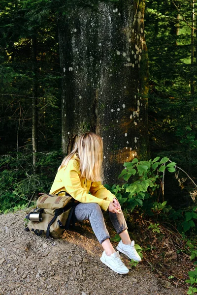Cestovatelka Kráčí Lesem Krásná Přírodní Krajina Lese Pěší Túra Turistické — Stock fotografie