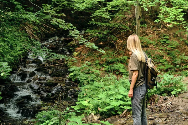 Cestovatelka Kráčí Lesem Krásná Přírodní Krajina Lese Pěší Túra Turistické — Stock fotografie