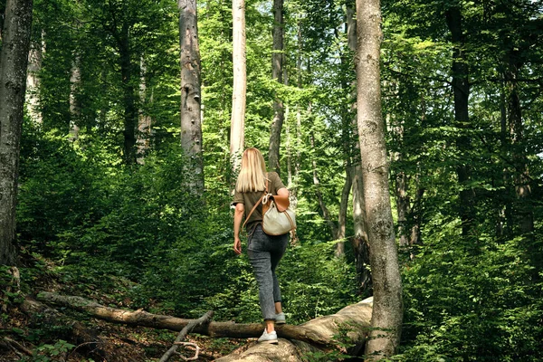 Cestovatelka Kráčí Lesem Krásná Přírodní Krajina Lese Pěší Túra Turistické — Stock fotografie