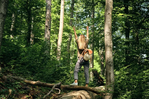 Cestovatelka Kráčí Lesem Krásná Přírodní Krajina Lese Pěší Túra Turistické — Stock fotografie