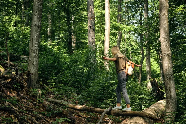 Cestovatelka Kráčí Lesem Krásná Přírodní Krajina Lese Pěší Túra Turistické — Stock fotografie