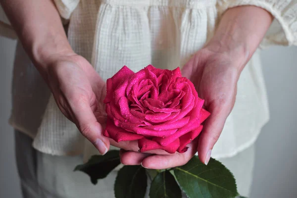 Roses Roses Dans Les Mains Une Femme Heureuse Gros Plan — Photo