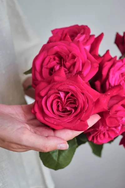 Roses Roses Dans Les Mains Une Femme Heureuse Gros Plan — Photo