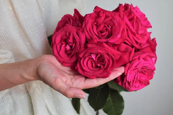 Pink roses in the hands of a happy woman. Rose petal close-up. Beautiful holiday spring bouquet. Florist girl with blossom flower. Fresh floral bunch. Romantic surprise from a loved one