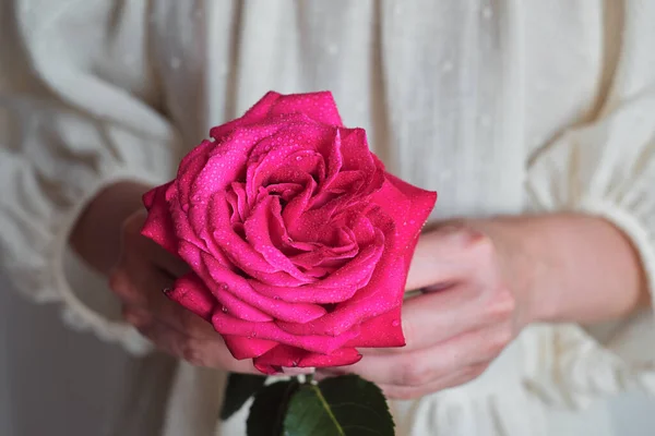 Roses Roses Dans Les Mains Une Femme Heureuse Gros Plan — Photo